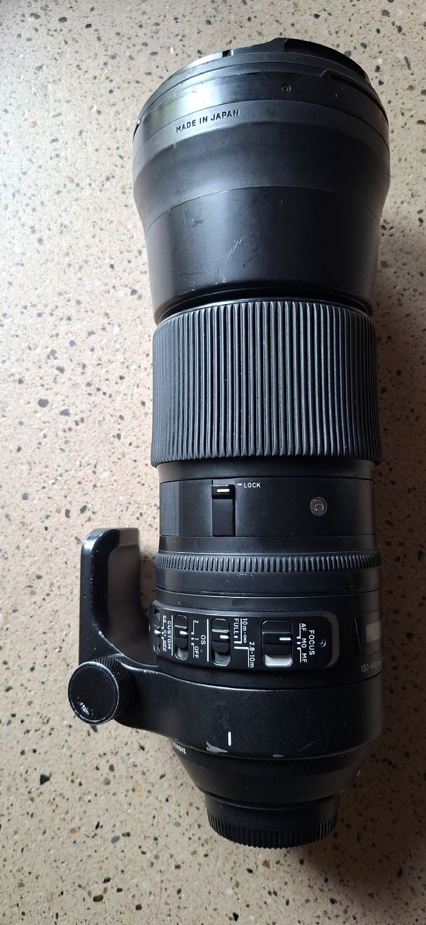 Sigma Objektive: Objectif sigma contemporary 150-600. – Gebraucht aus St-Aubin FR von ger_8fbs
