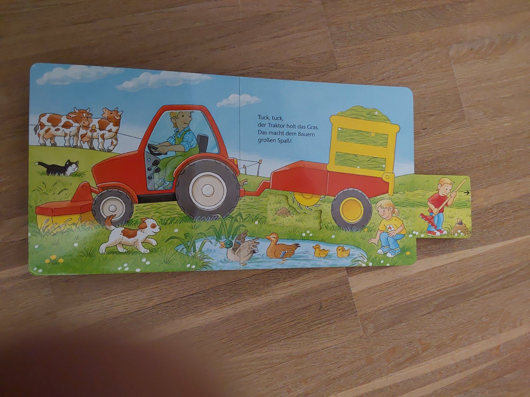 Bücher: Kinder Bücher – Gebraucht aus Wallisellen von Wallisellen77 3
