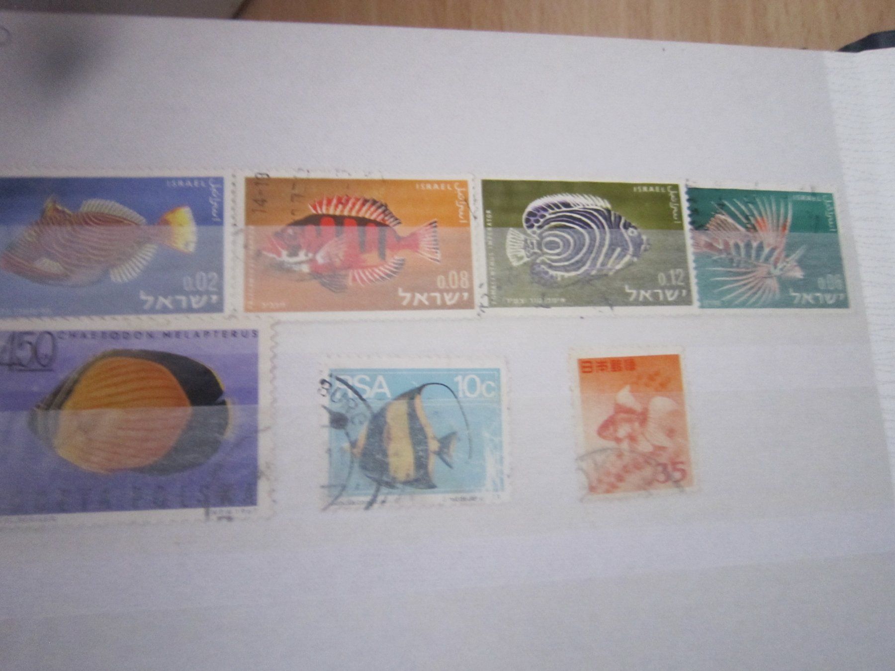 Tutti i francobolli: Lot O7 album mit Marken: Tiere – Usato da Giubiasco venduto da sal_9j6w 8