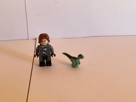 Lego Jurassic World Figur mit Dino gebraucht guter Zustand