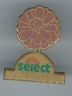 Select Pin