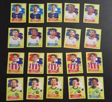panini 2026