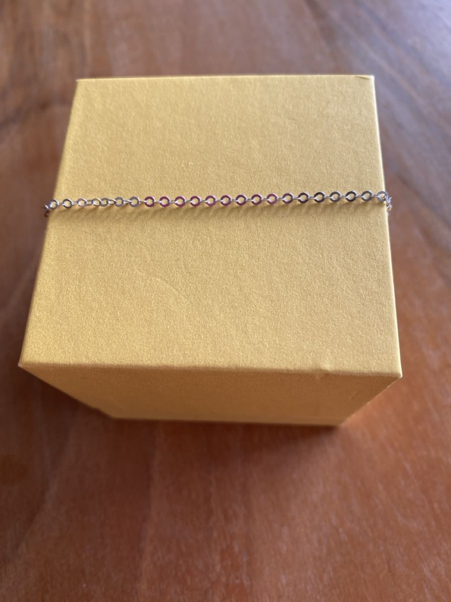 Catenine: Collana d’oro bianco – Usato da Buchs ZH venduto da Micki1982 1
