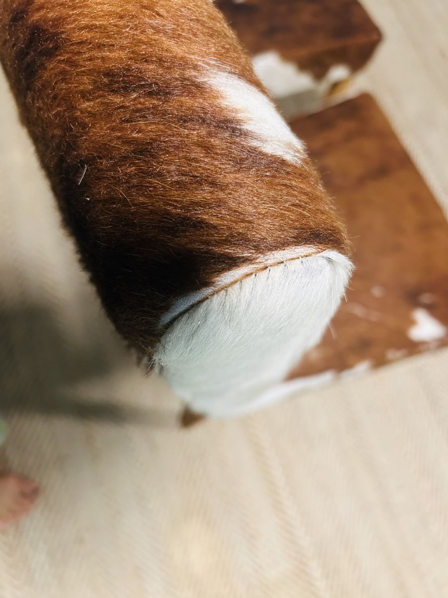 Stühle: Kuhfell Stühle 2x – Gebraucht aus Hagendorn von matisse01 6