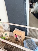 Nagergehege mit viel Zubehör – sofort bezugsbereit 🐹🐭