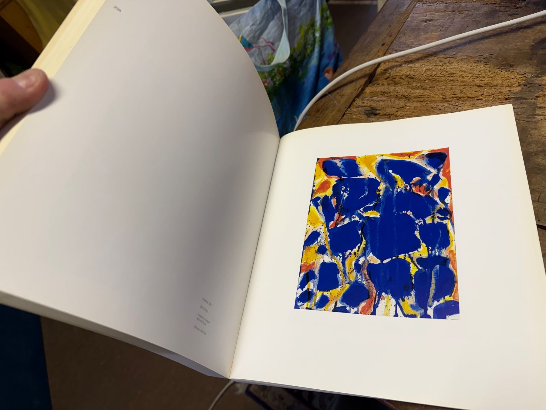Libri: Sam FRANCIS – Usato da Bern venduto da Jwpm66 3