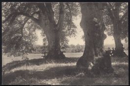 Zofingen  Heiternplatz   1914