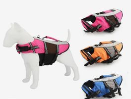 Schwimmweste für Hunde -  Sicherheit zählt