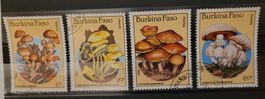 BURKINA FASO - PILZE / CHAMPIGNONS
