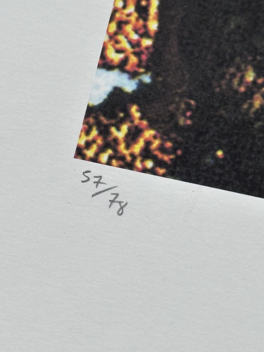Grafica & Litografie: Salvador Dali "Moses and Monotheism" – Usato da Zürich venduto da Ddechkovd 1
