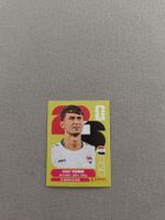 Panini IRQ8
