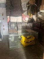 Grande gabbia per criceti/roditori