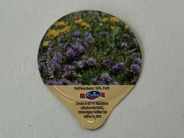 A-73 A - Wildblumen, Gastro