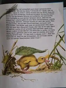 Libri: Daisy, das hochnäsige Gänslein - Kinderbuch – Usato da Schöfflisdorf venduto da KKB-Team1 2
