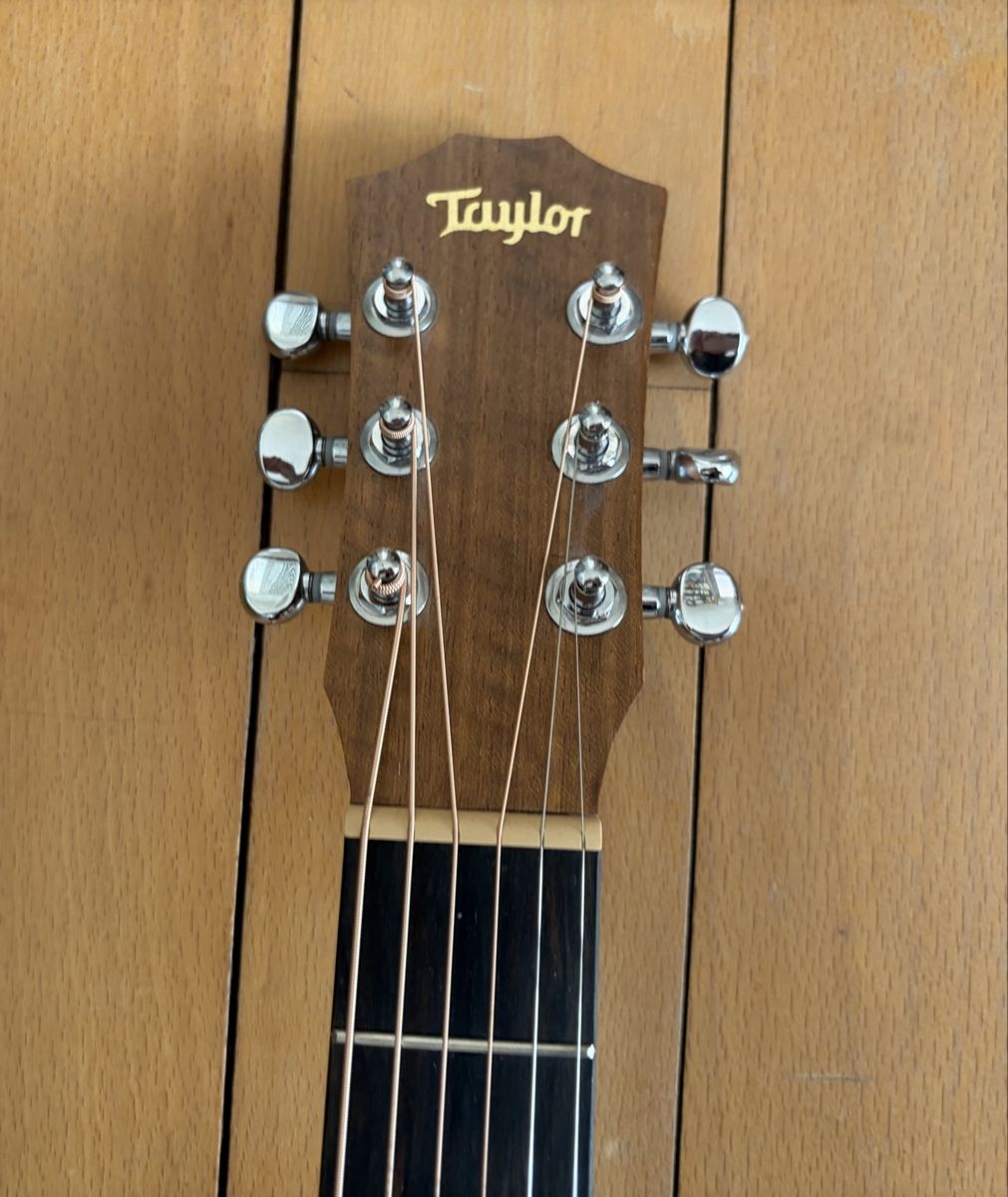 Taylor Strumenti musicali: Taylor BT2e – Usato da Zürich venduto da mw_777 2