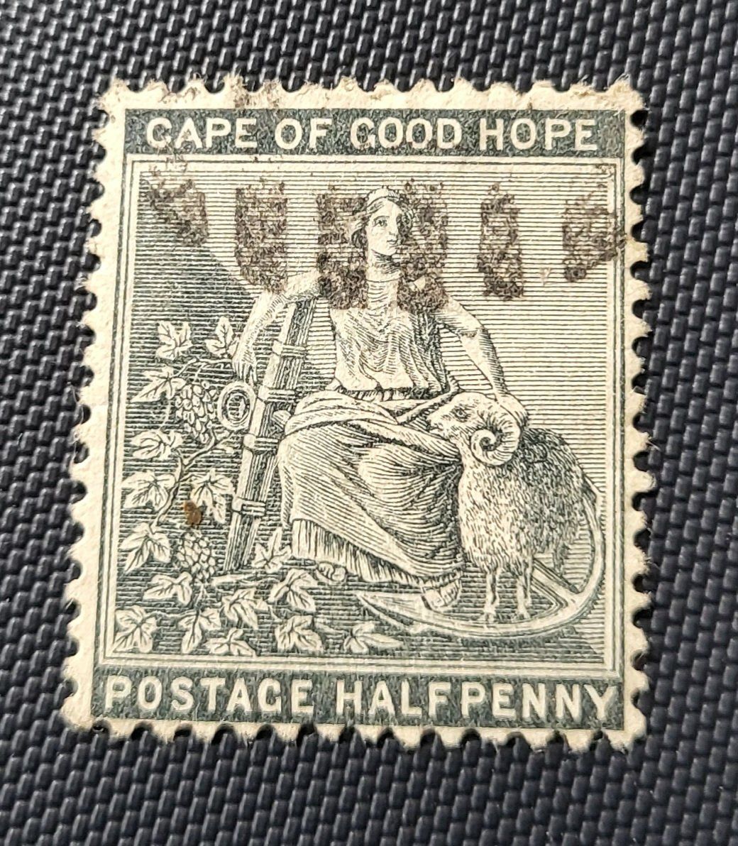 Tutti i francobolli: Kap der guten Hoffnung alte briefmarke – Usato da St Gallen venduto da Stampsalshobby