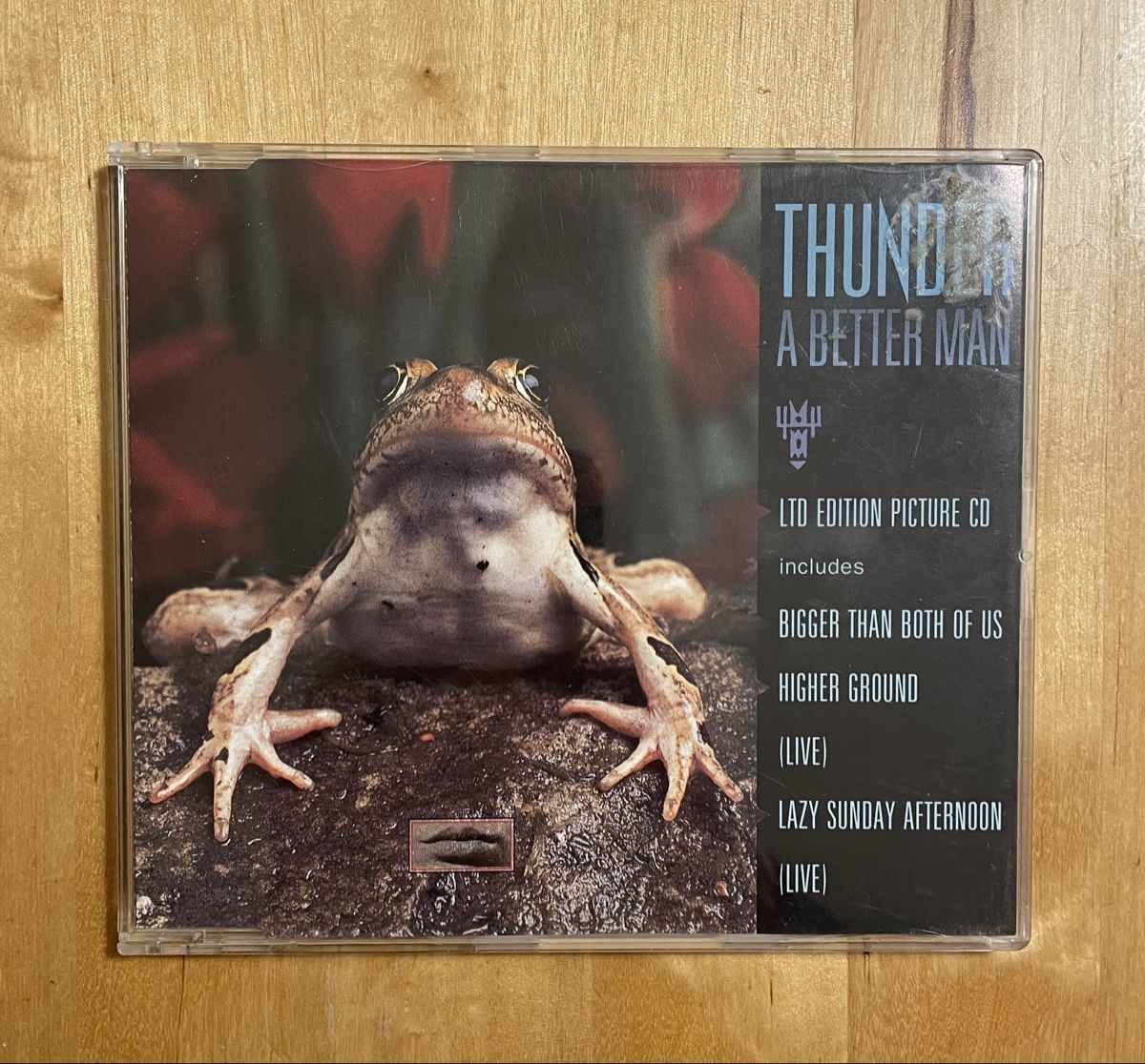 CD: Thunder - A Better Man LTD Edition Picture CD – Usato da St.Gallen venduto da Thh7