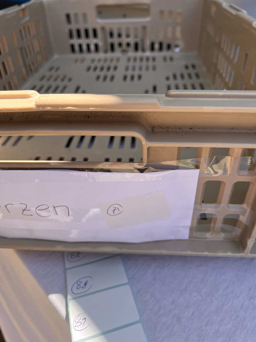 Kerzen: Verschiedene Kerzen ( 71) – Gebraucht aus Glattfelden von maa_qcj8 8