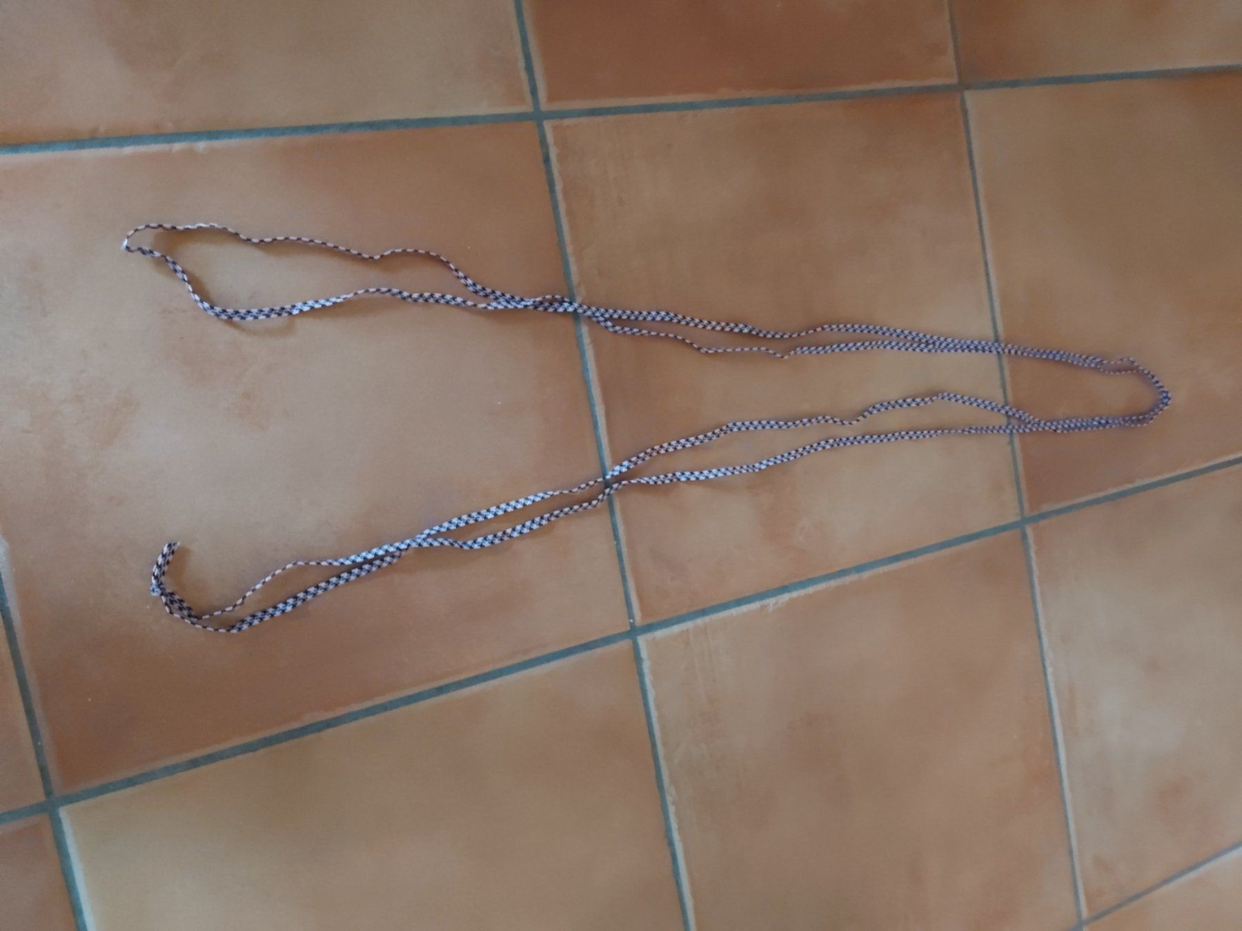 Giochi: Élastique pour saut à ľélastique – Usato da VUADENS venduto da momy