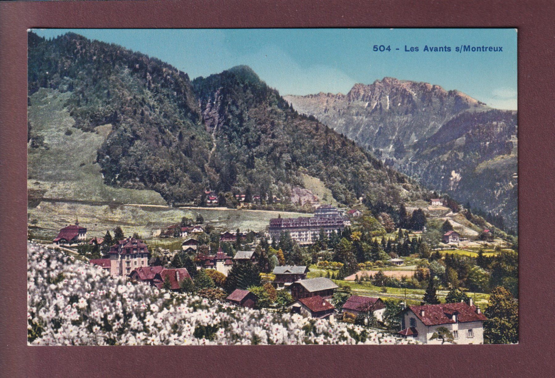 Cartoline postali: LES AVANTS - Narcisses – Usato da Pully venduto da nicecards