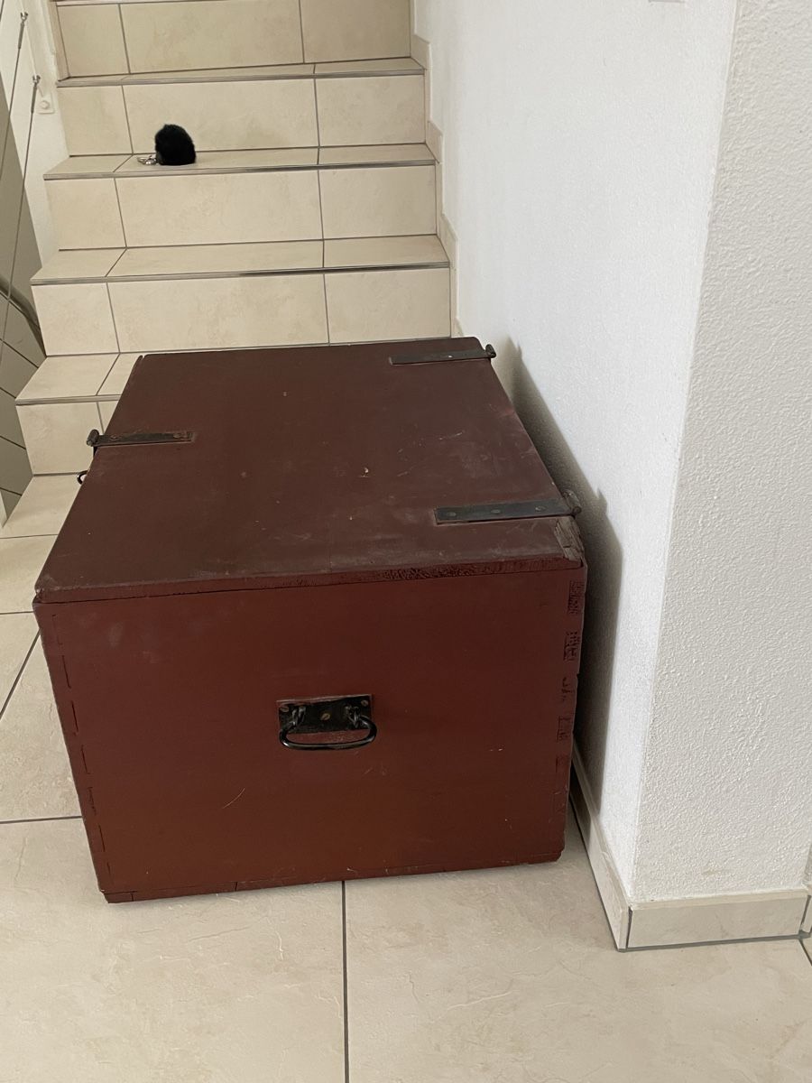 Cassapanche: Antique Holztruhe – Usato da Richterswil venduto da Prangins9 3