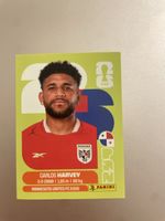 Panini Sticker PAN 15