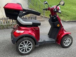 Seniorenmobil elektrisch, neue Batterien und Steuergerät