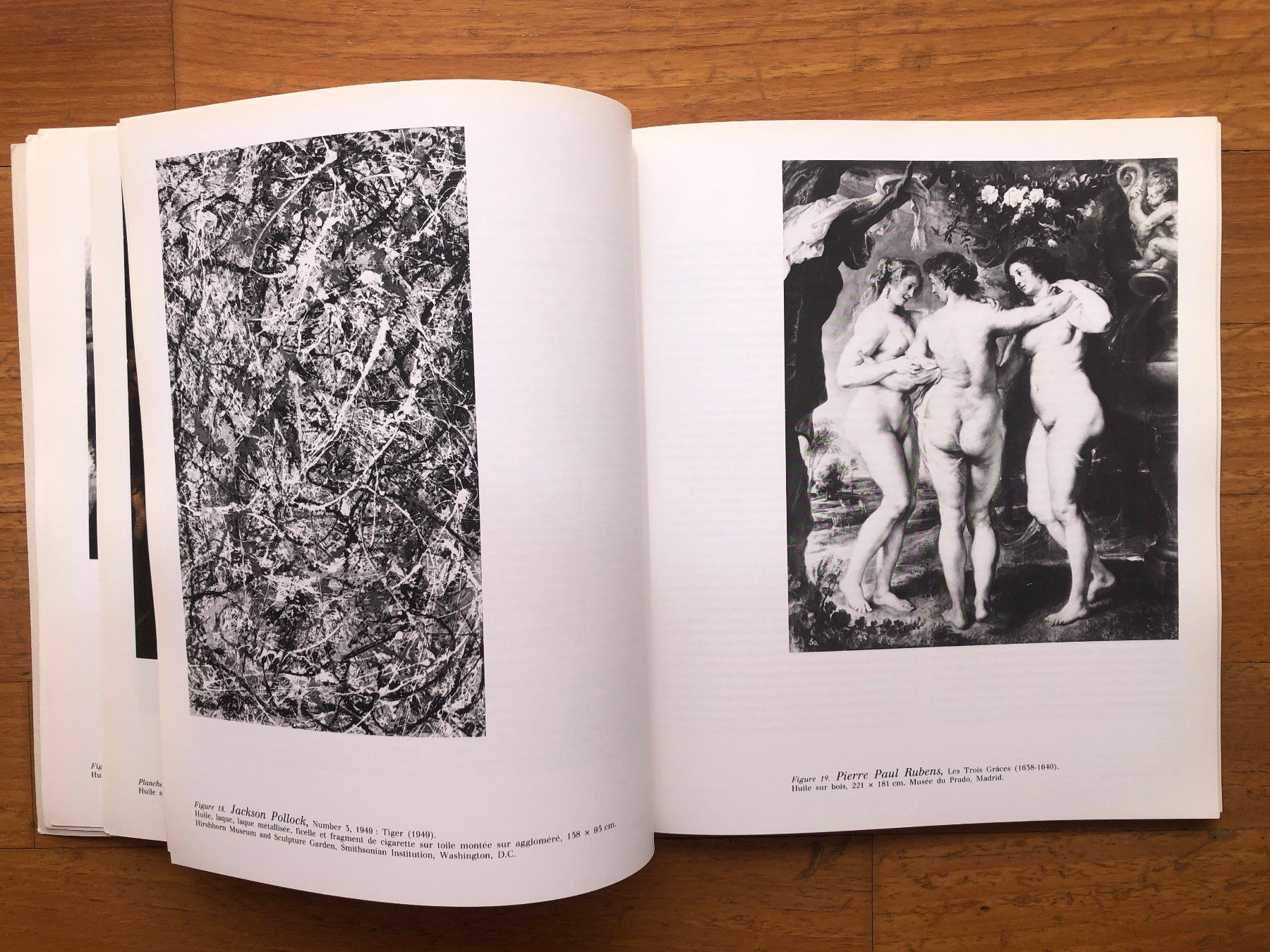 Bücher: Kunst Buch: FRANK STELLA - Champs d'oeuvre – Gebraucht aus Lugano von gio.yo 4