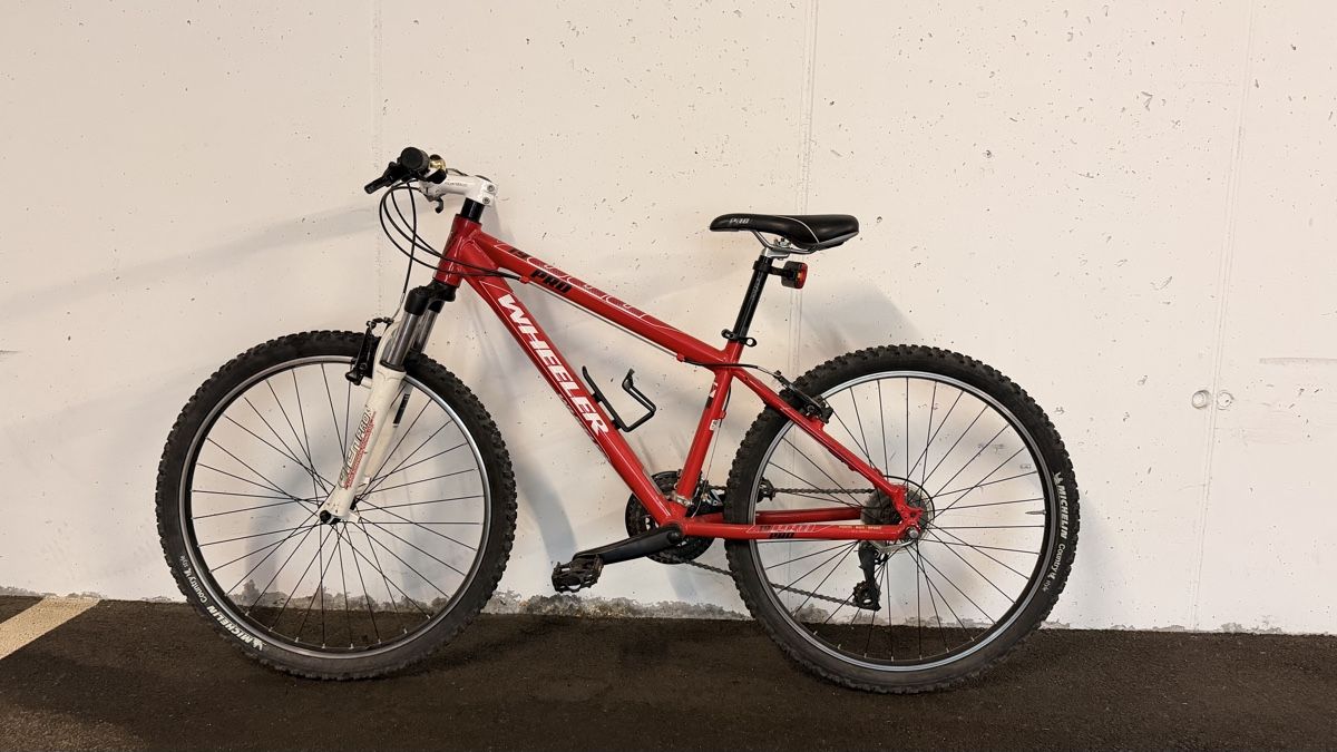 Biciclette: Mountainbike, rossa – Usato da Agno venduto da Alezzela