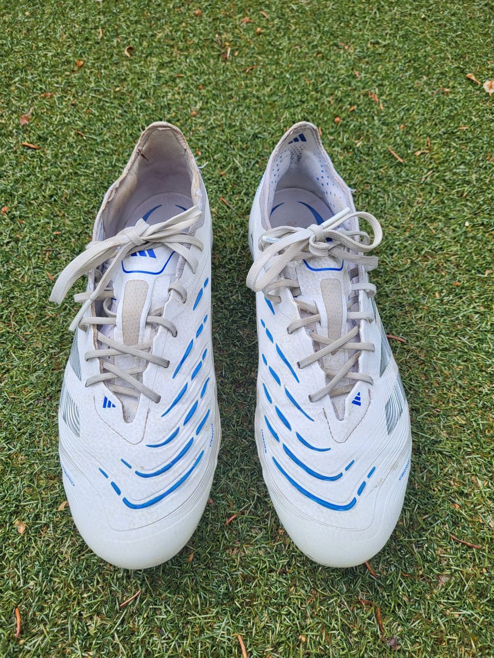 Scarpe da uomo: Fussballschuhe "Predator" – Usato da Uster venduto da gurust