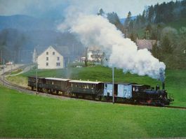 DVZO Dampfbahn-Verein Zürcher Oberland Tigerli E 3/3