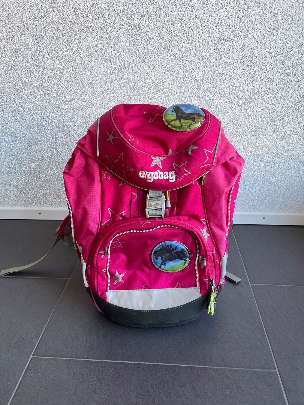 Ergobag Borse & Zaini: Ergobag Schulrucksack pink Sterne Pferde gebraucht – Usato da Bremgarten b. Bern venduto da Wollmich