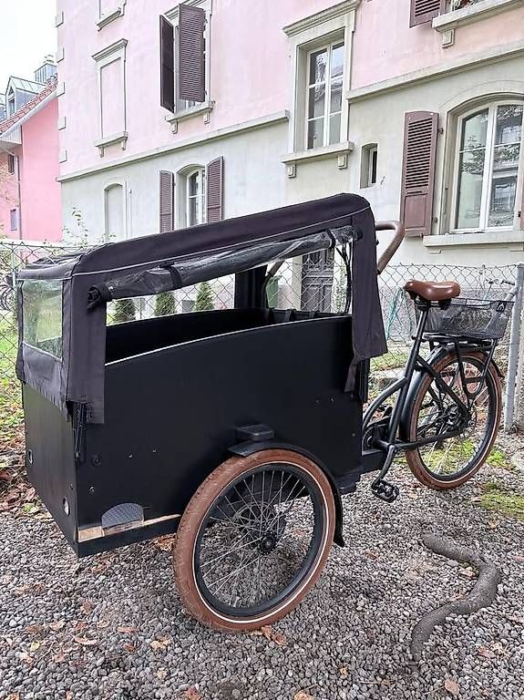 Biciclette: E-Cargo Lastenrad Cargobike mit Transportbox – Usato da Bern venduto da noasn 1