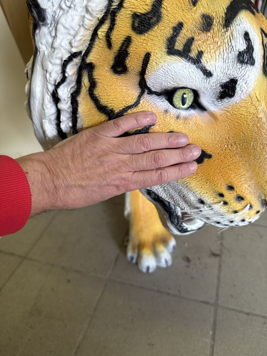 Statuette: Tiger Skulptur, Kunstharz, lebensgross – Usato da Kestenholz venduto da Swiss3DWerkstatt 5