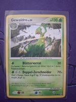 Gewaldro 31/99 