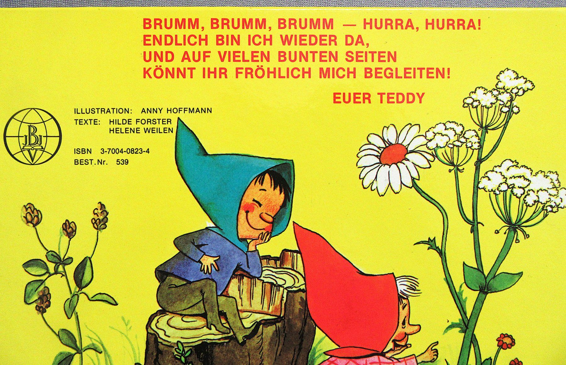 Libri: Teddys Abenteuer - wunderschön illustriert von Anny Hoffmann – Usato da Auenstein venduto da Padabimbim 1