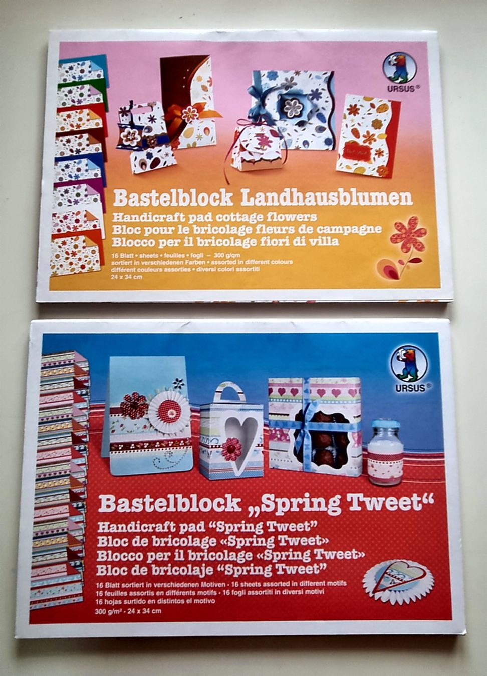 Carta: 2 Motivkartonblöcke  Scrapbooking – Usato da Effretikon venduto da lenalisa63