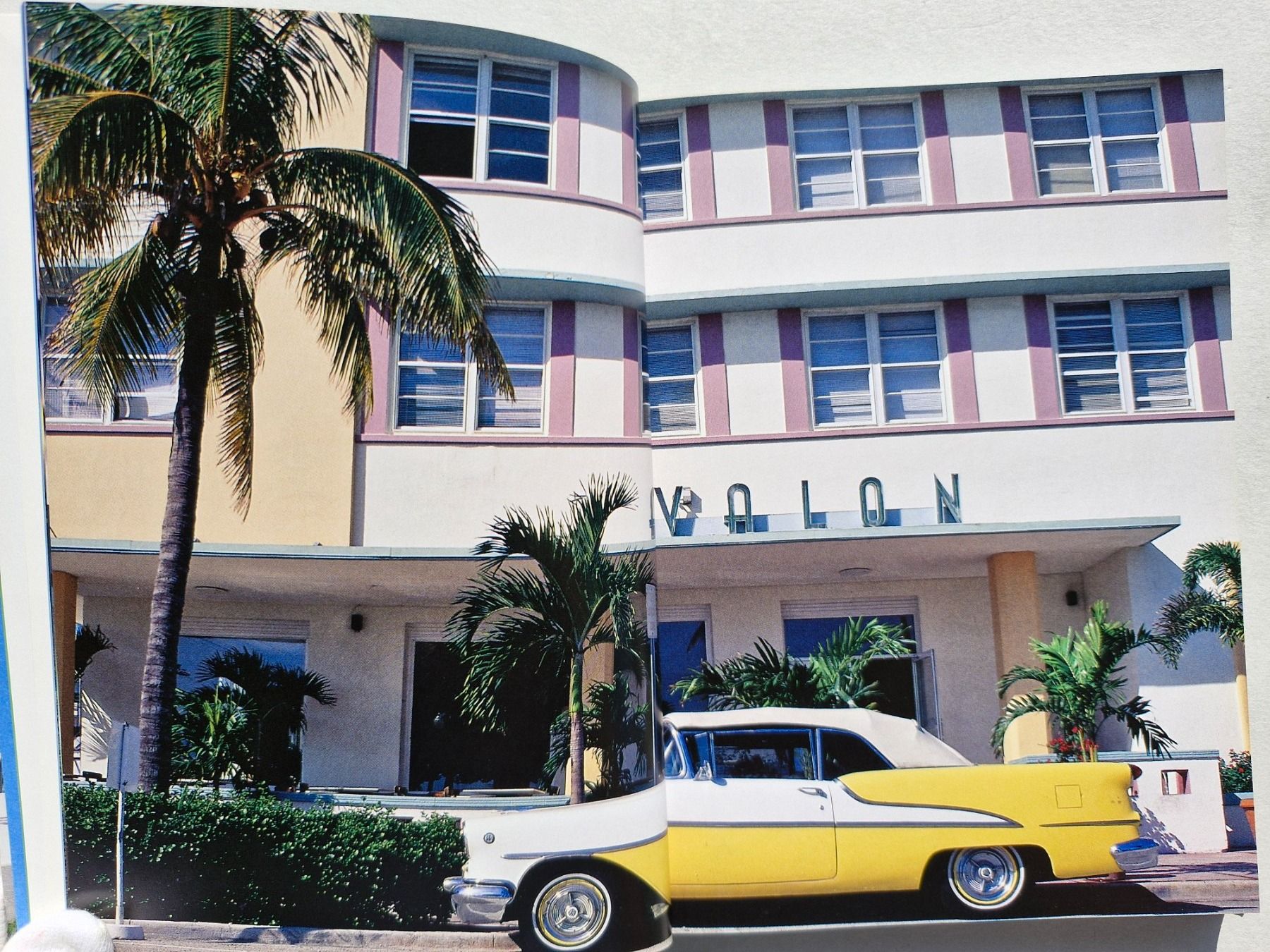 Livres: Schönes Wohndesign Buch "Miami Style" – D'occasion à Zürich par Secretariat11 1