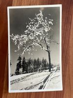 AK  1919 Winterlandschaft  (G2291)