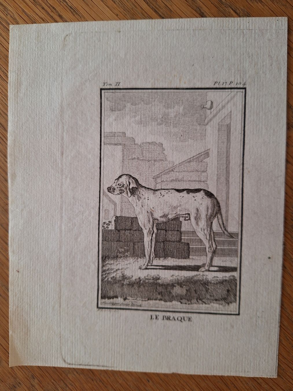 Gravures: LE BRAQUE – D'occasion à Bevaix par bohrap 1