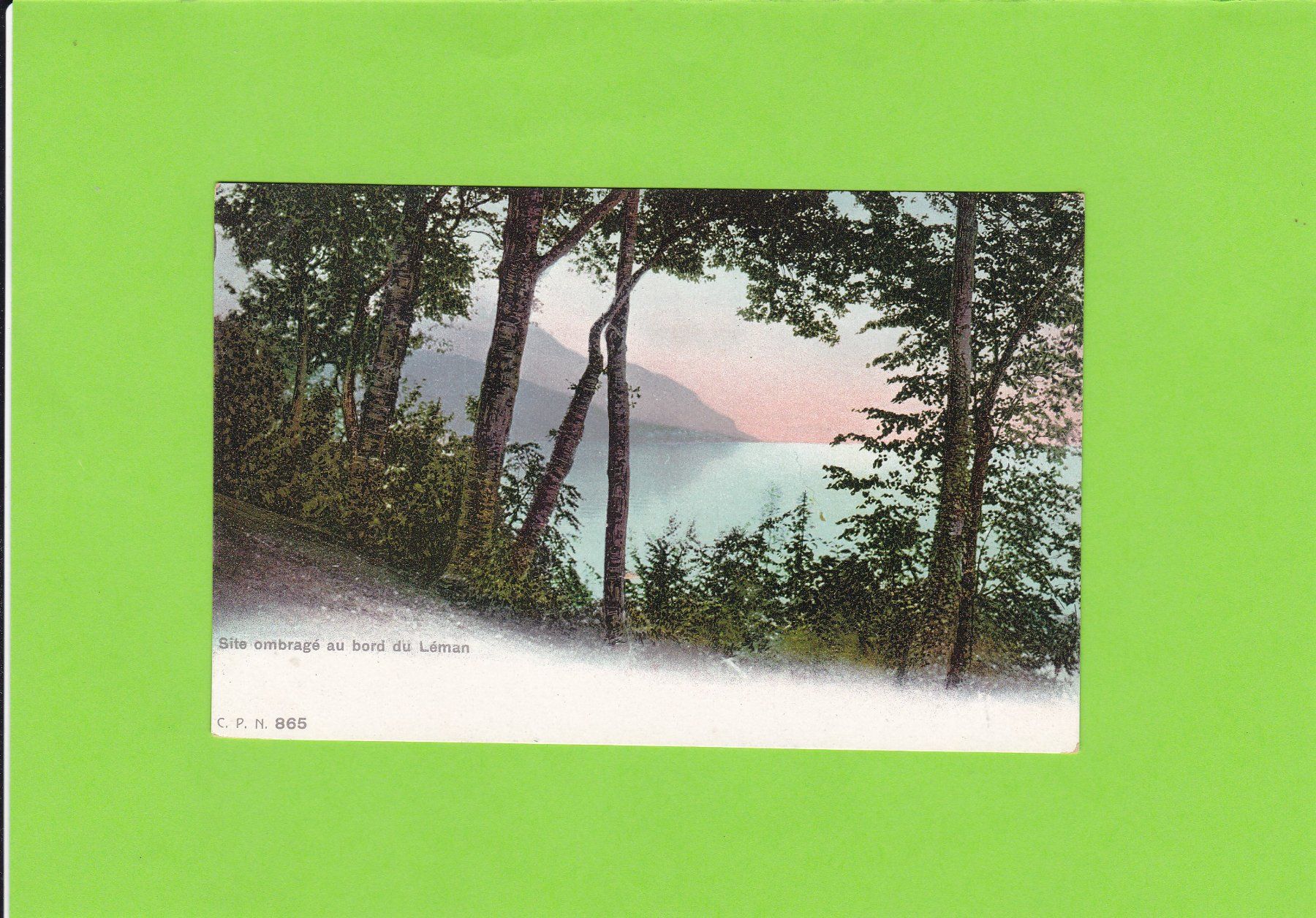 Cartoline postali: Site ombragé au bord du Léman – Usato da St. Peterzell venduto da neckertal
