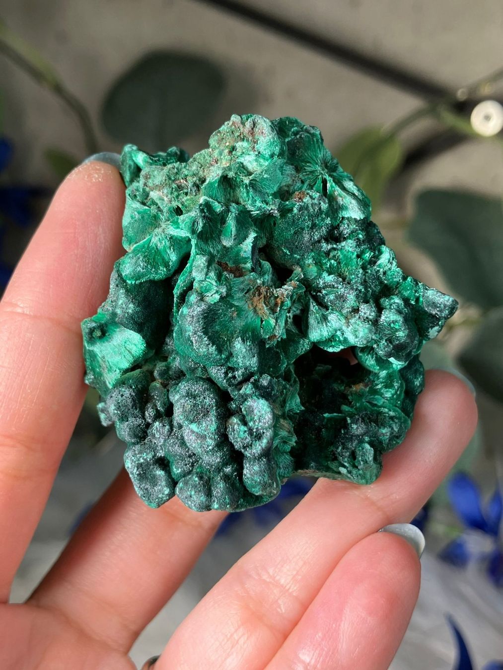 Minerali & Pietre curative: Malachit – Nuovo (secondo la descrizione) da Neuheim venduto da m.hald 3