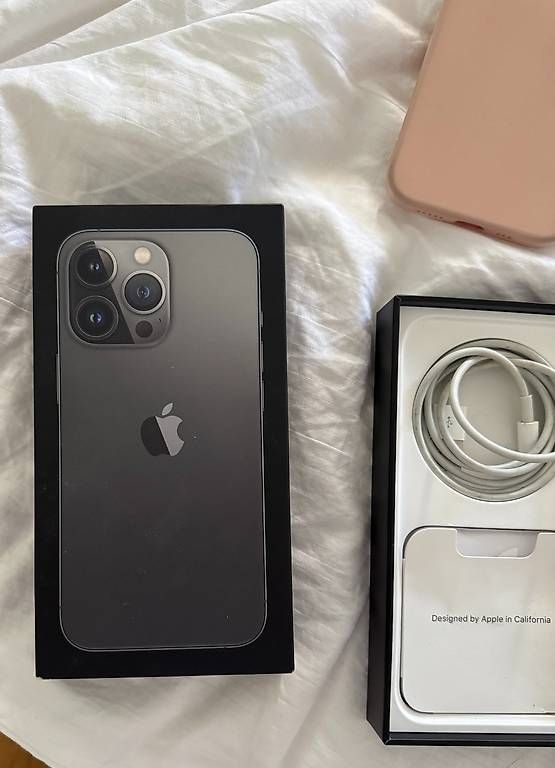 Telefoni cellulari / Smartphones: Apple iPhone 13 Pro, 256GB, Graphite, TOP ZUSTAND – Usato da Zürich venduto da accattone 1