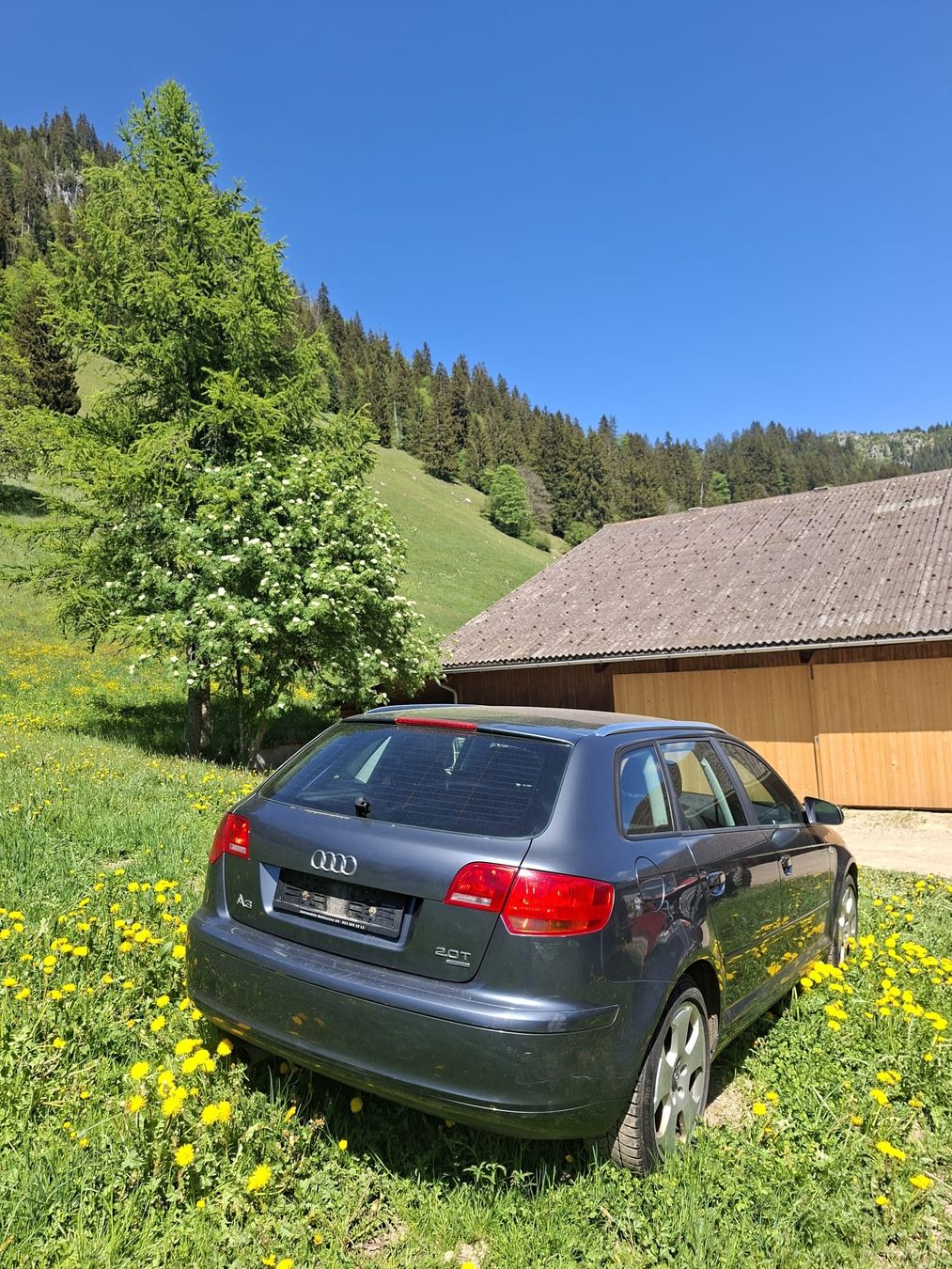 Audi Automobili: Audi A 3 Quattro – Usato da ZWISCHENFLÜH venduto da ramsler01 1