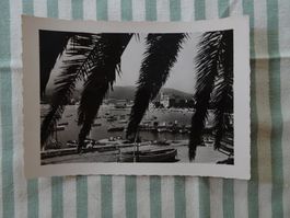 Ansichtskarte Ste Maxime sur mer - Le Port - um 1950 - M133