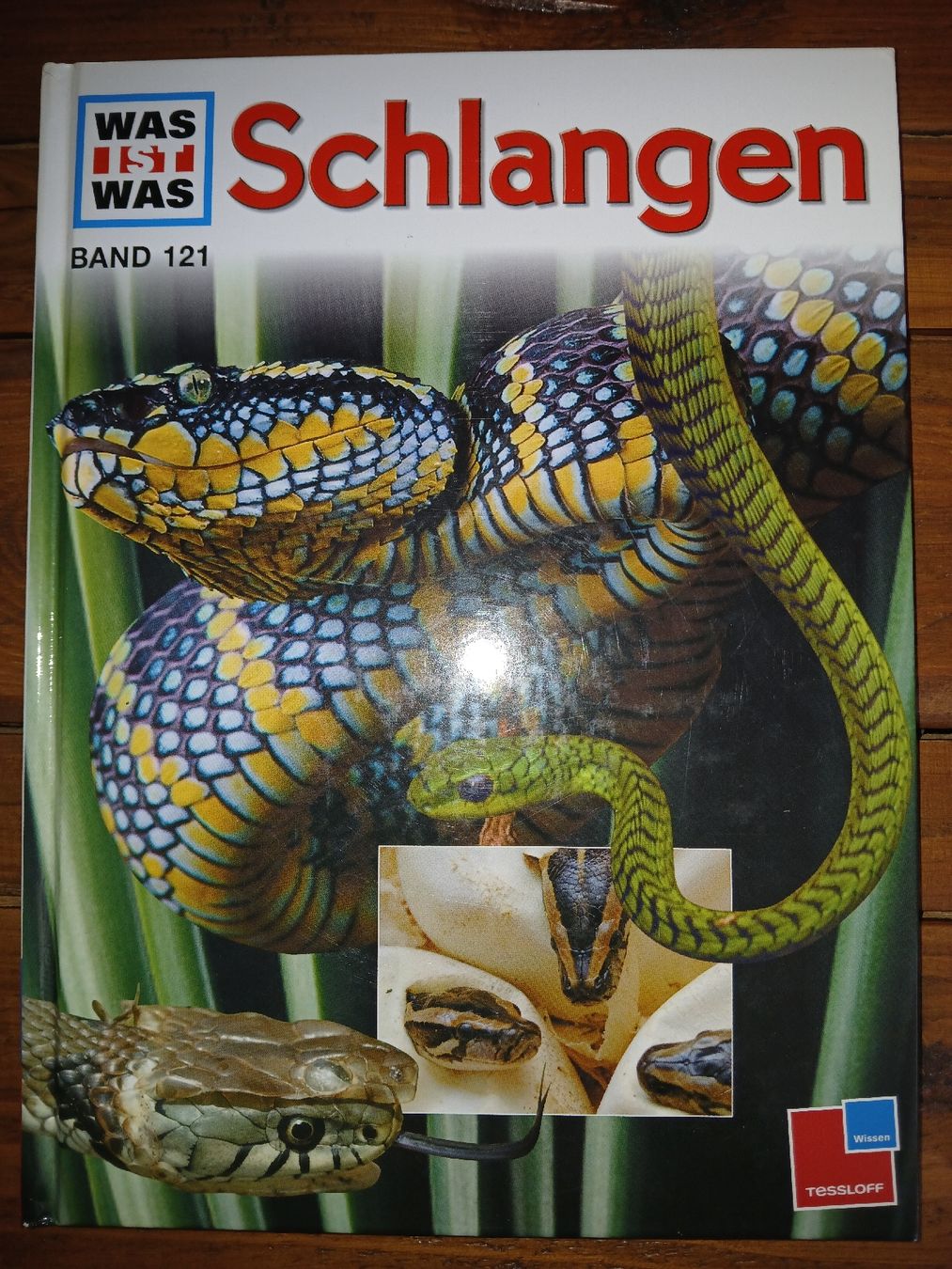 Libri: was ist was Schlangen – Usato da recherswil venduto da papamoll71