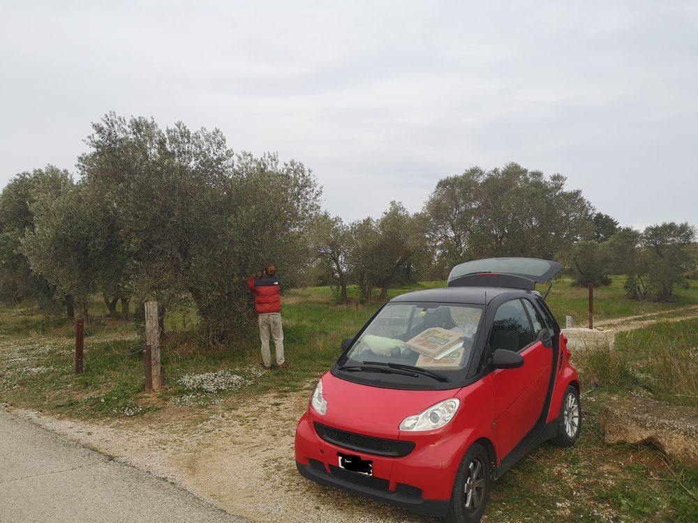 Smart fortwo coupé cdi (rot) | Kaufen auf Ricardo