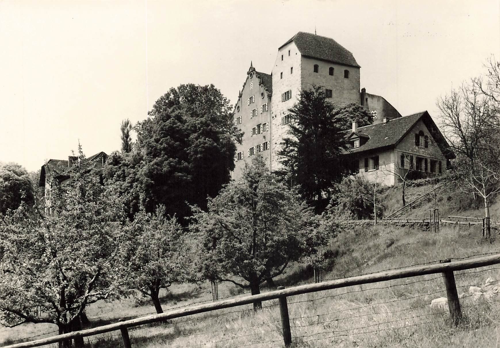 Ansichtskarten: Schloss Wildegg – Gebraucht aus Schwyz von