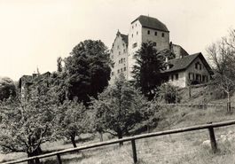 Schloss Wildegg