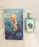 SEAHORSE von ZOOLOGIST Parfum